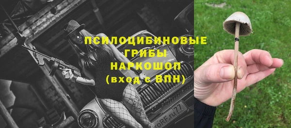 бошки Новодвинск
