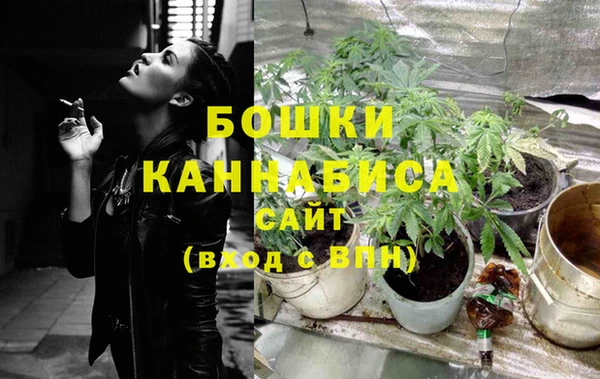 скорость Новозыбков
