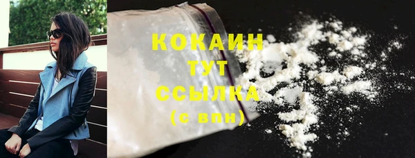 бошки Новодвинск