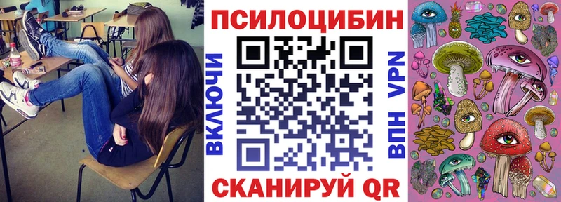 Купить где  Коркино  Псилоцибиновые грибы Cubensis 